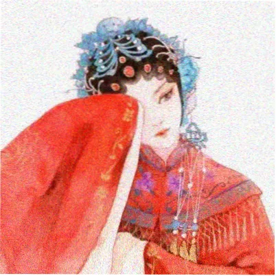 读者柚子头像